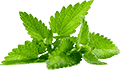 在线ddos网页端